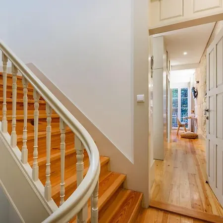 Apartment Cozy Living